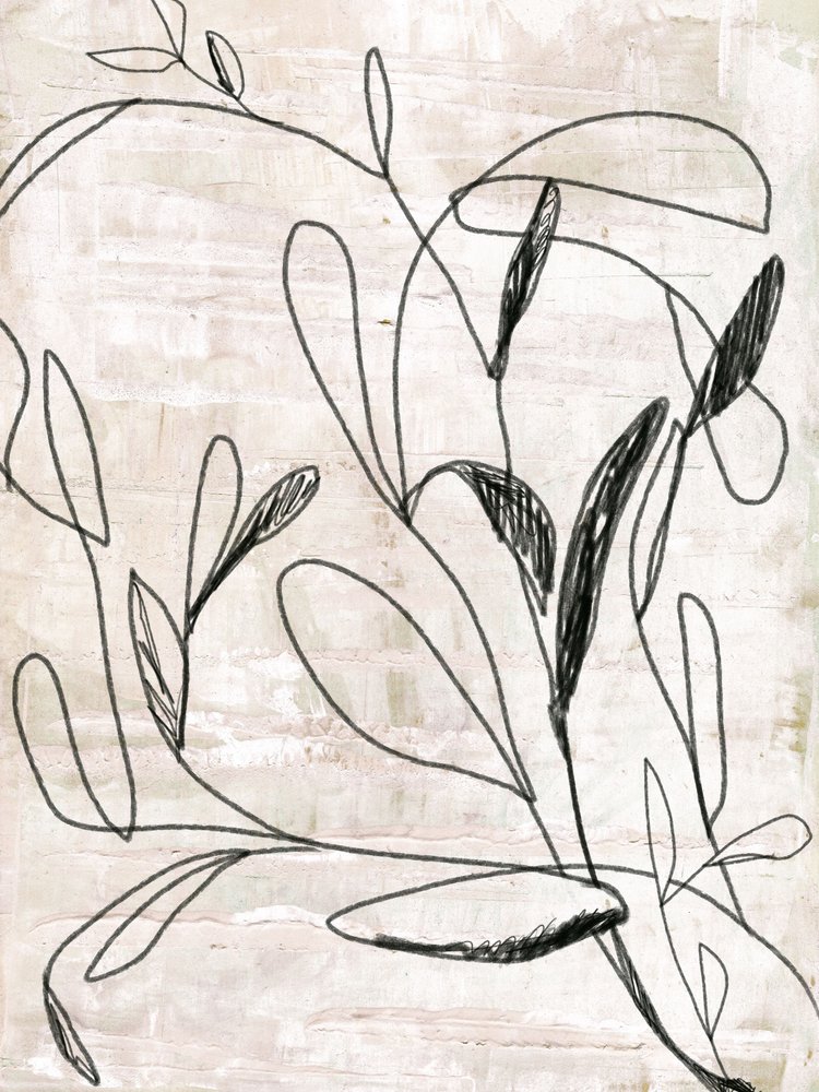 Botanische Linienzeichnung von Annick