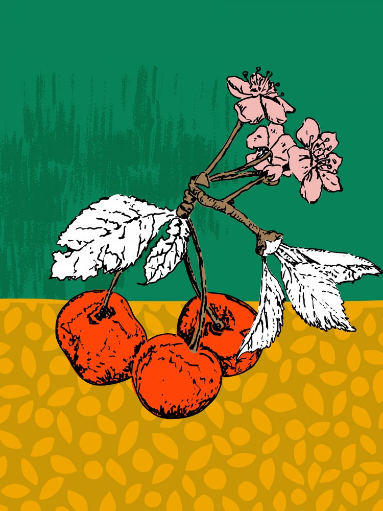 Kirschzweigblüten von Annick