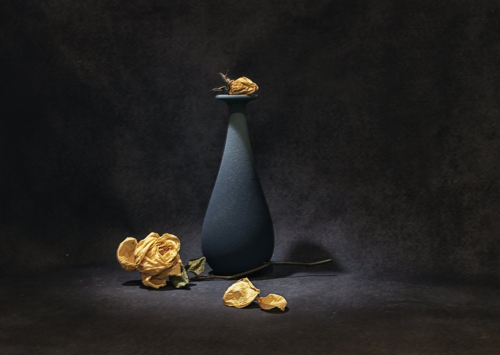 Melancholische getrocknete Rosen von Betty Liu