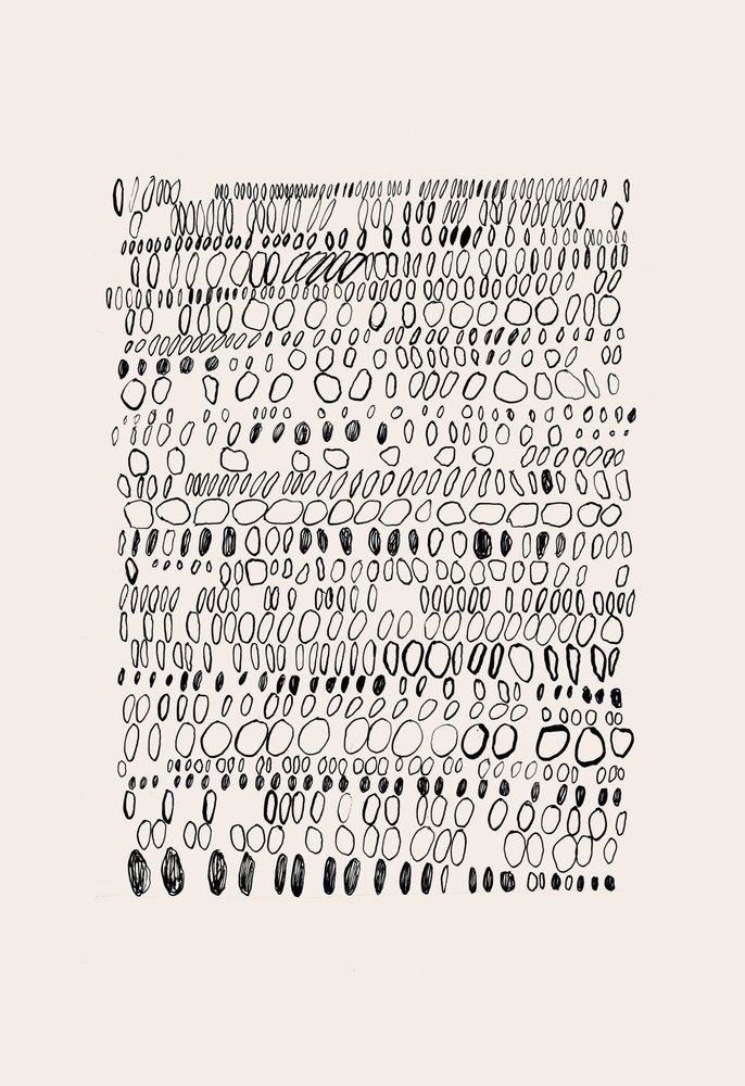 Organisches Kieselgitter von Catalina Somolinos