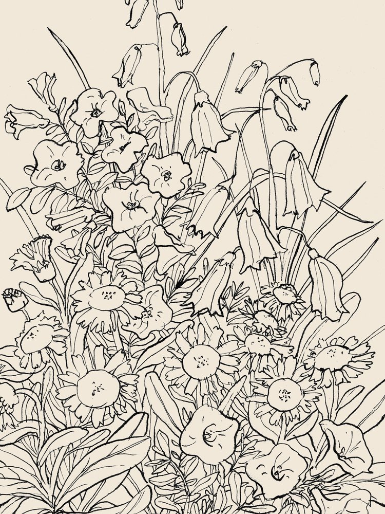 Wilde Gartenblumen von Catalina Somolinos