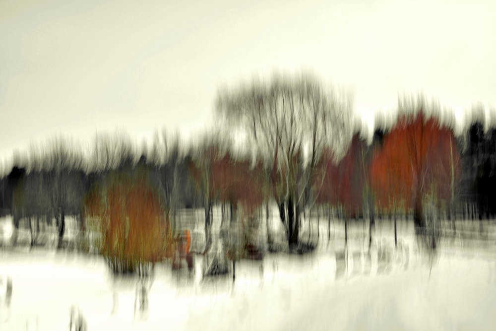 Abstrakter Winterwald von Christina Sillen
