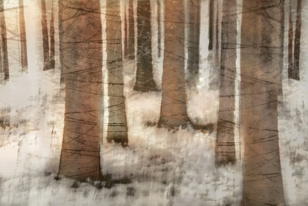 Träumiger Winterwald von Christina Sillen