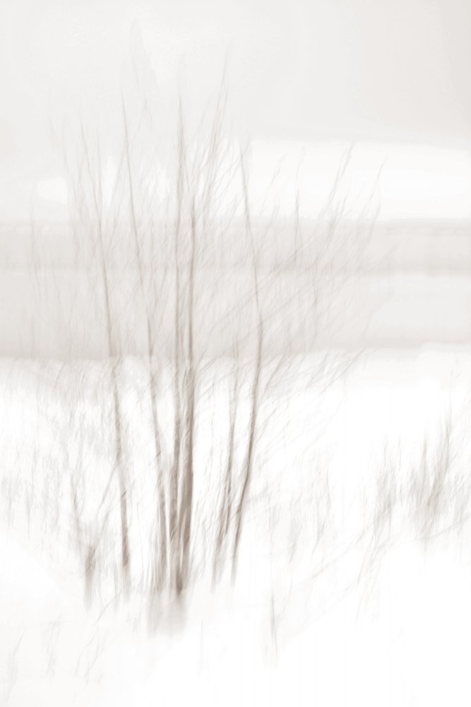 Ätherische Winterwälder von Christina Sillen