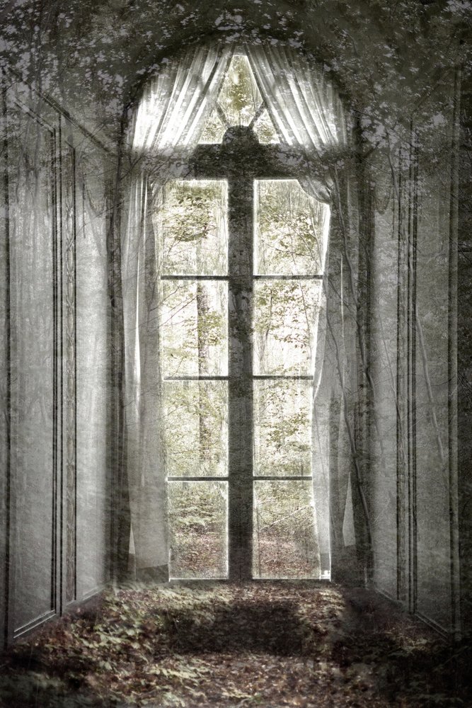 Vergessenes Waldfenster von Christina Sillen