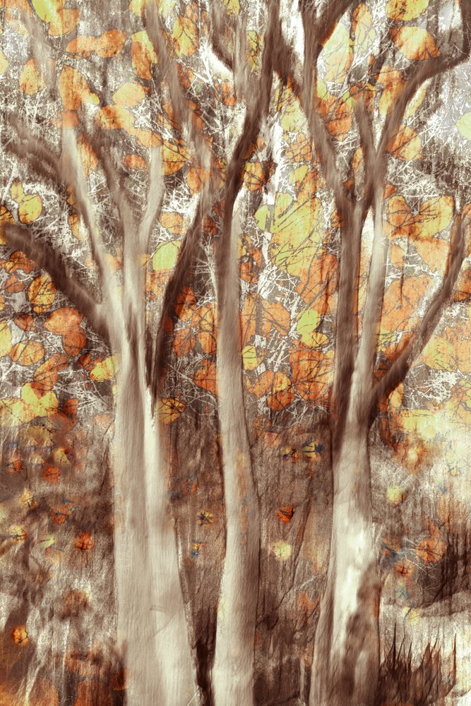 Goldener Herbstwald von Christina Sillen