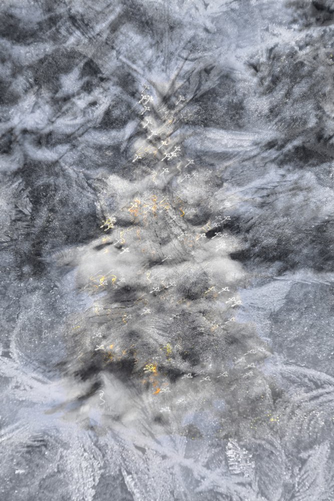 Komplexe Frostmuster von Christina Sillen