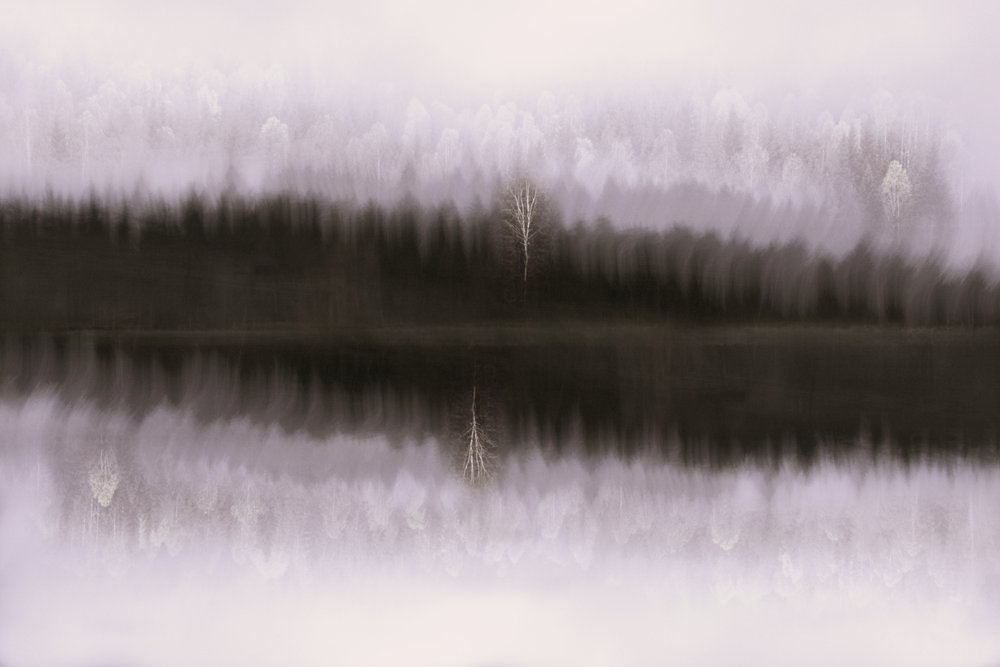 Neblige Birkenreflexion von Christina Sillen