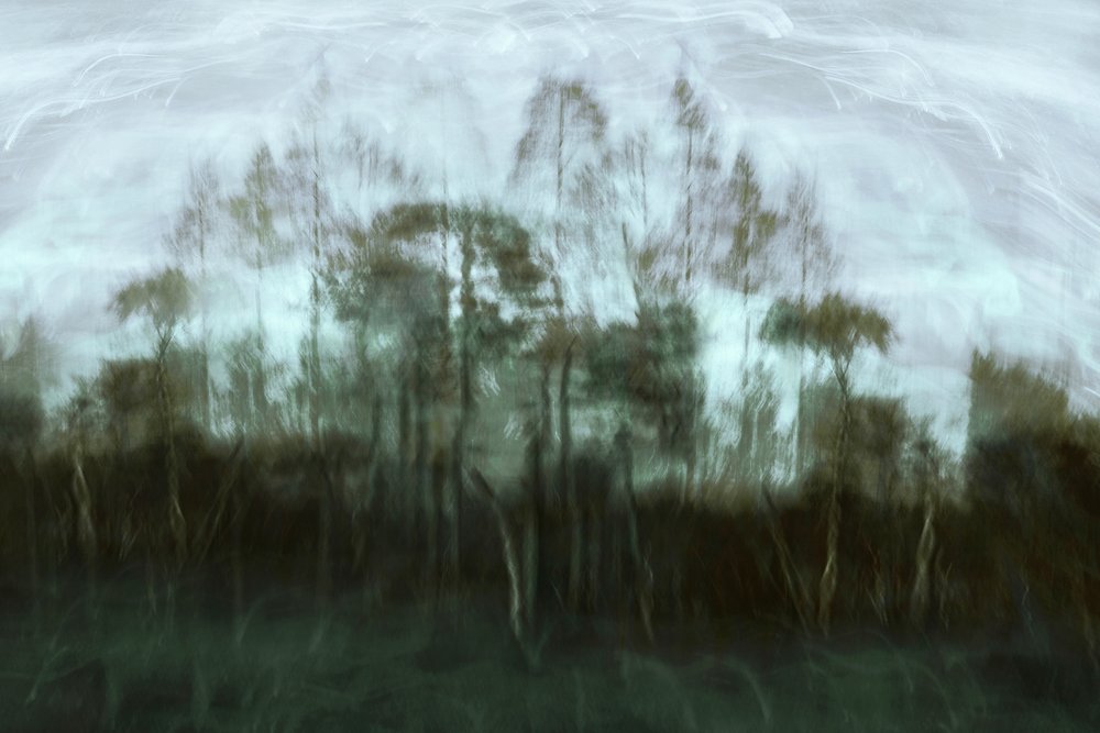 Nebliger Waldtraum von Christina Sillen