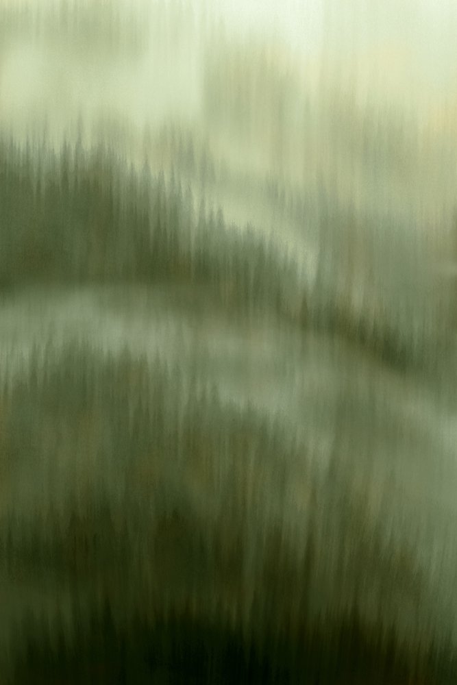 Neblige Waldruhe von Christina Sillen