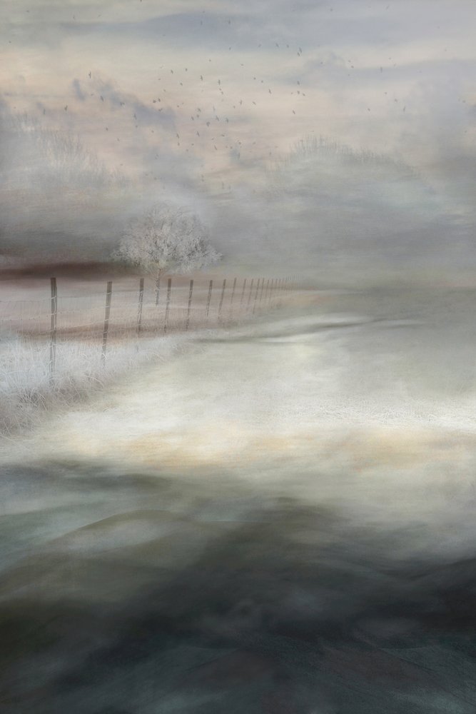 Neblige Winterlandschaft von Christina Sillen