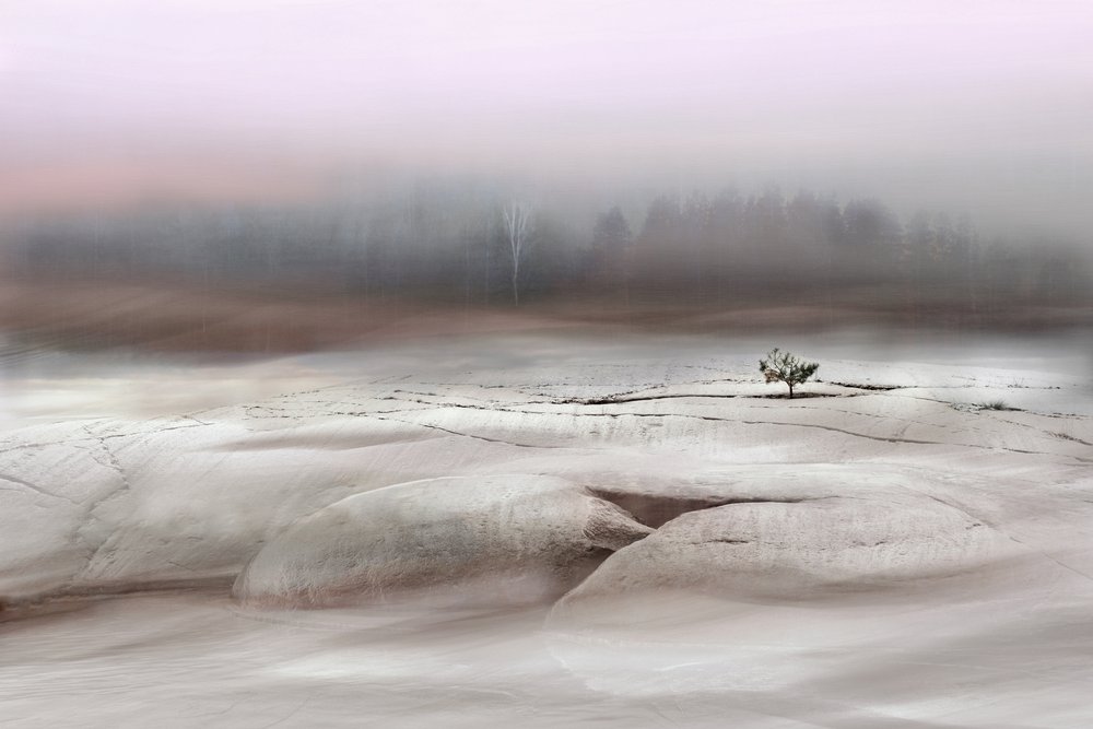 Einsamer Winterbaum von Christina Sillen