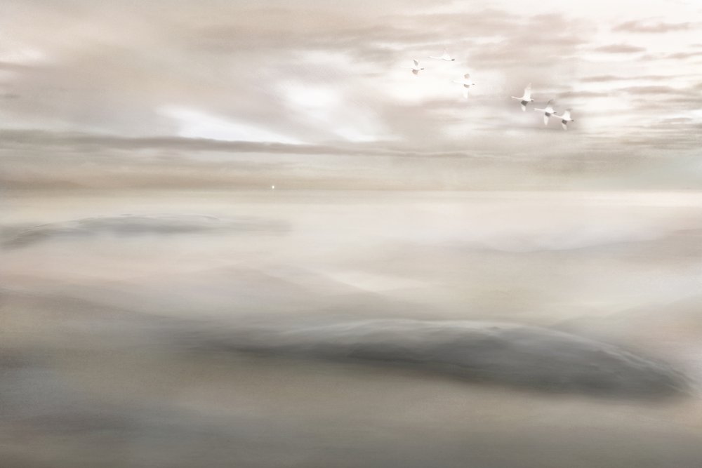 Schwanengesang zum Nebel von Christina Sillen