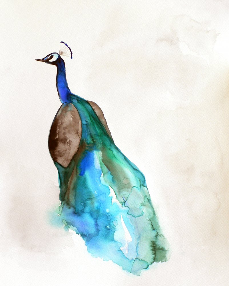 Lebendiger Blauer Pfau von Christine Lindstrom