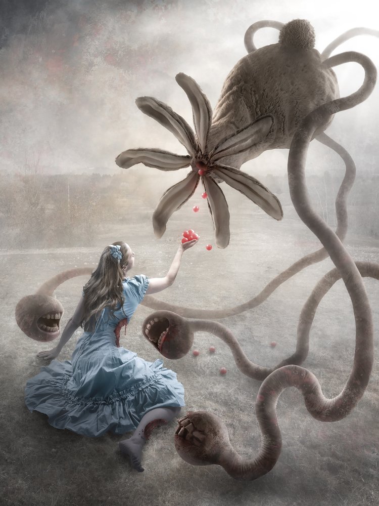 Makaberes Wunderland von Christophe Kiciak