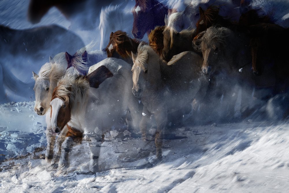 Ätherische Wildpferde von Chuanxu Ren