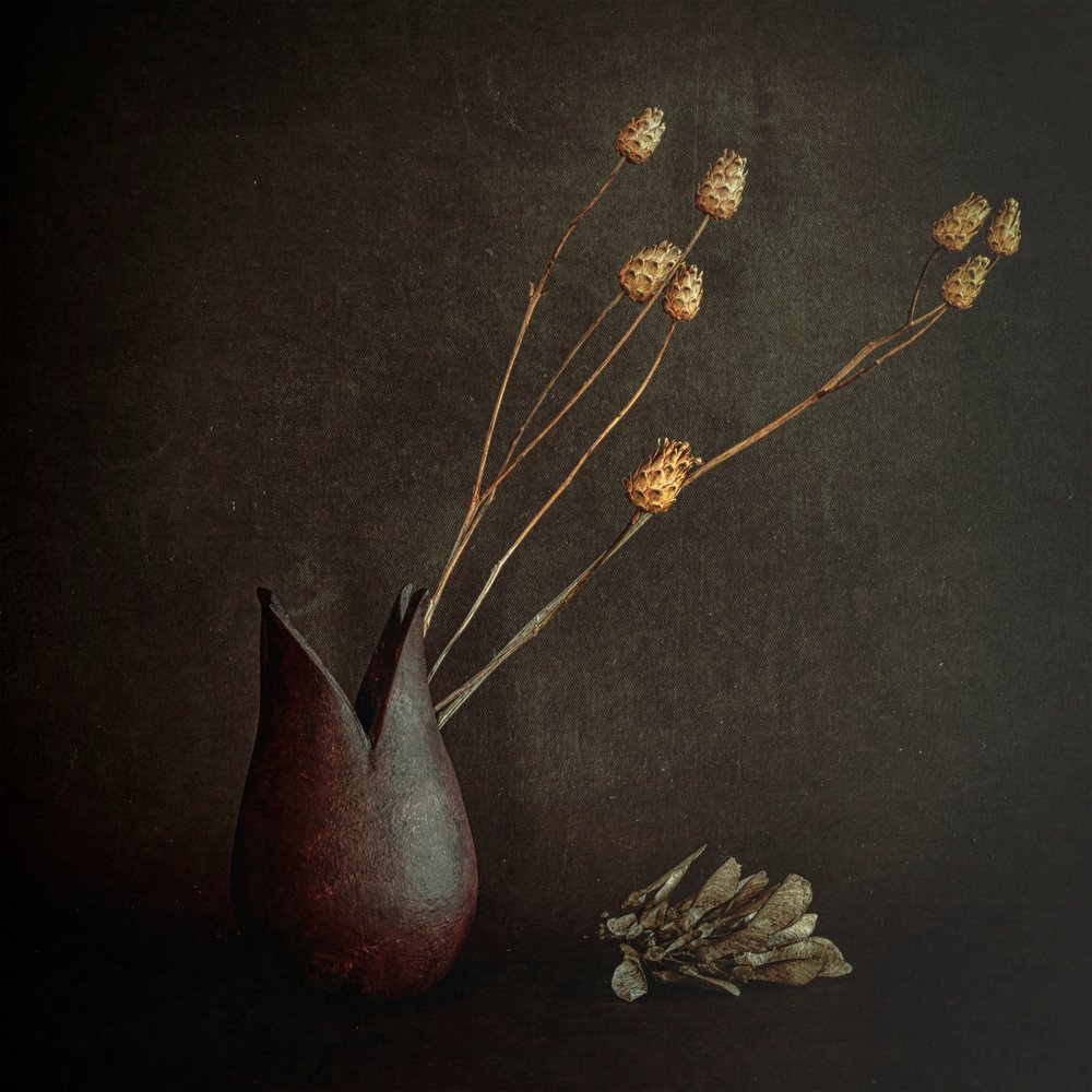 Dunkle rustikale Botanicals von Cicek Kiral