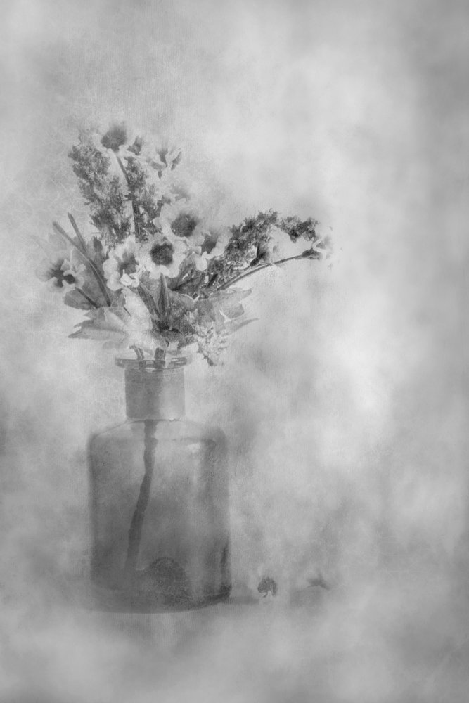 Träumende Schwarz-Weiß-Blumen von Cicek Kiral