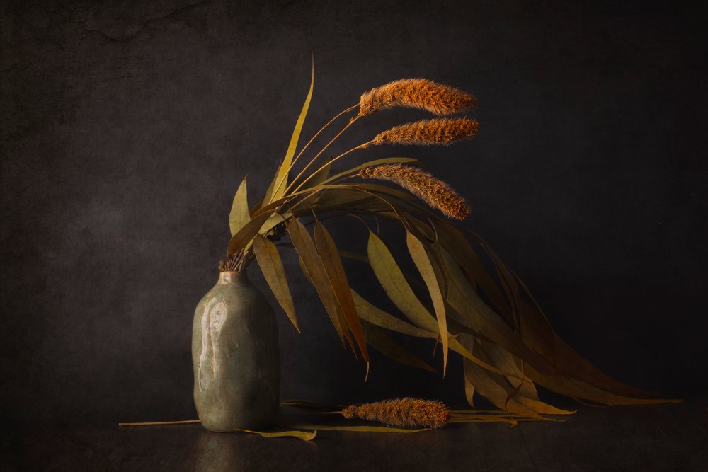 Getrocknetes botanisches Stillleben von Cicek Kiral