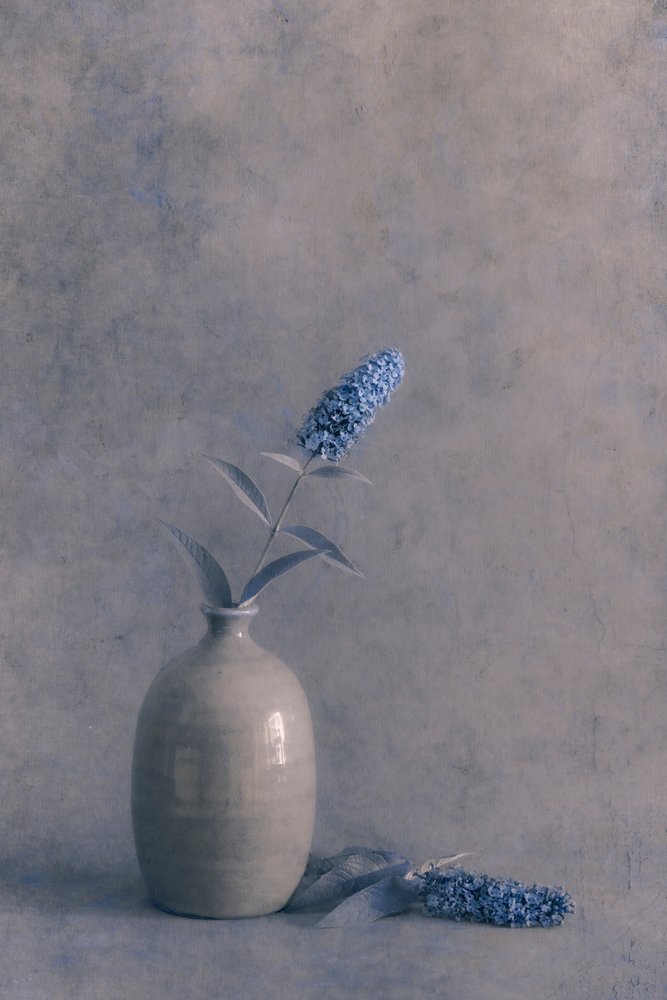 Elegante blaue Blumenvasen von Cicek Kiral