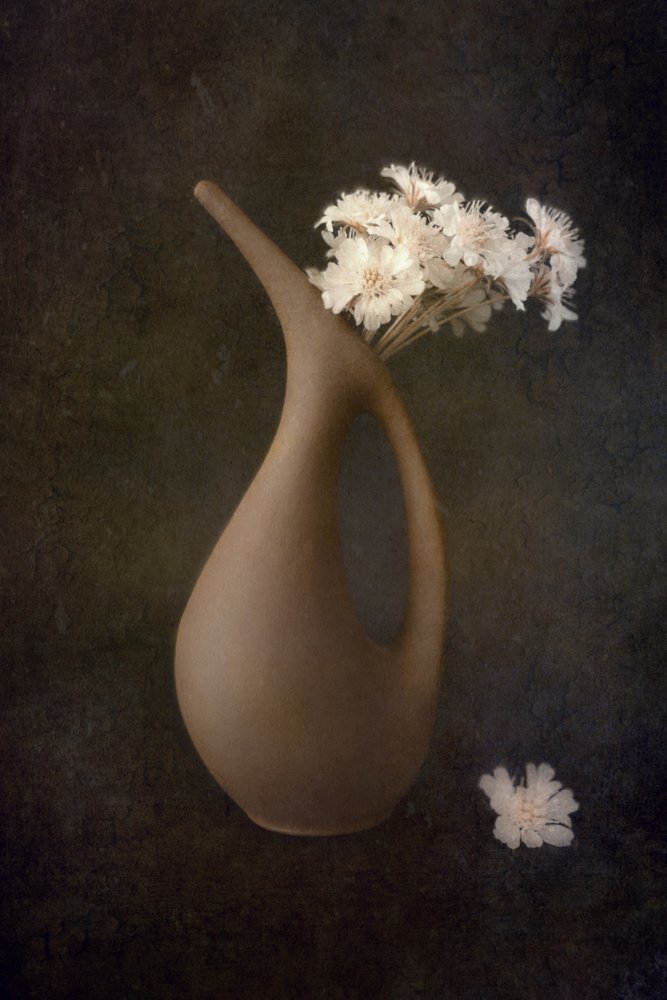 Elegante Vasenblumen von Cicek Kiral