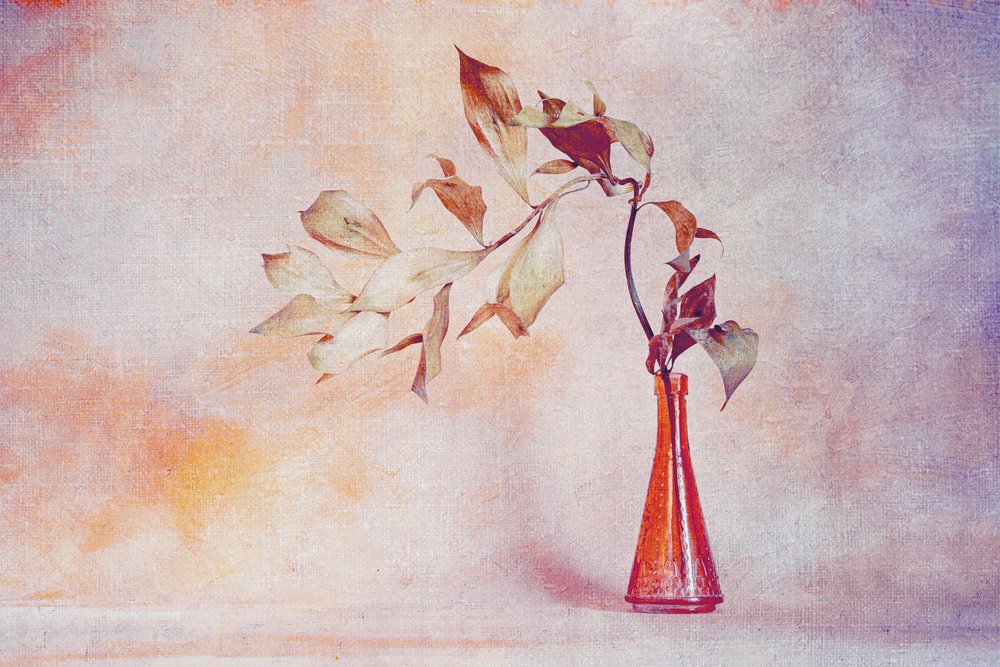 Verblasste Blätter in orangefarbener Vase von Cicek Kiral