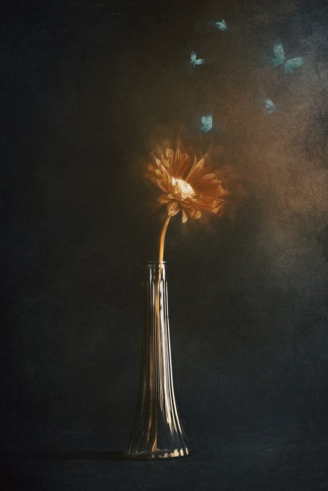 Leuchtende Blumen-Schmetterlinge von Cicek Kiral