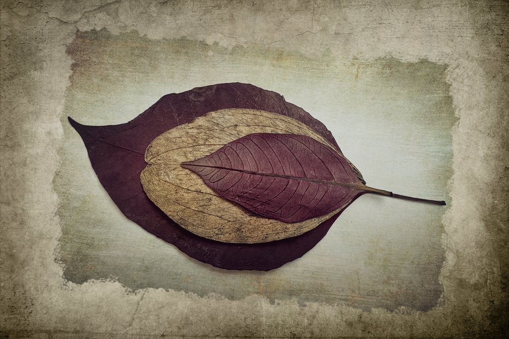Geschichtete Herbstblätter von Cicek Kiral