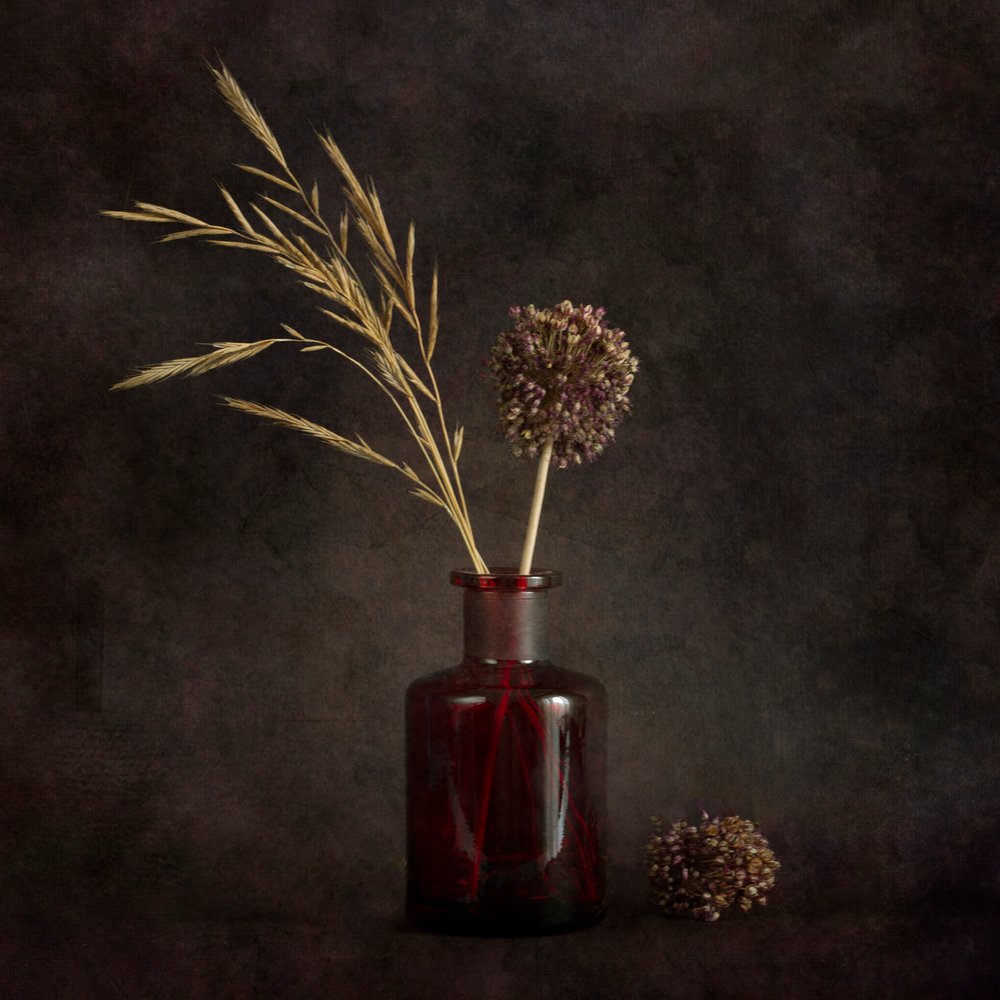 Stimmungsvolle getrocknete Botanicals von Cicek Kiral