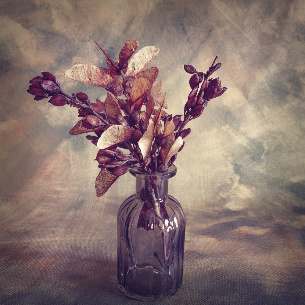 Rustikale getrocknete Botanicals von Cicek Kiral