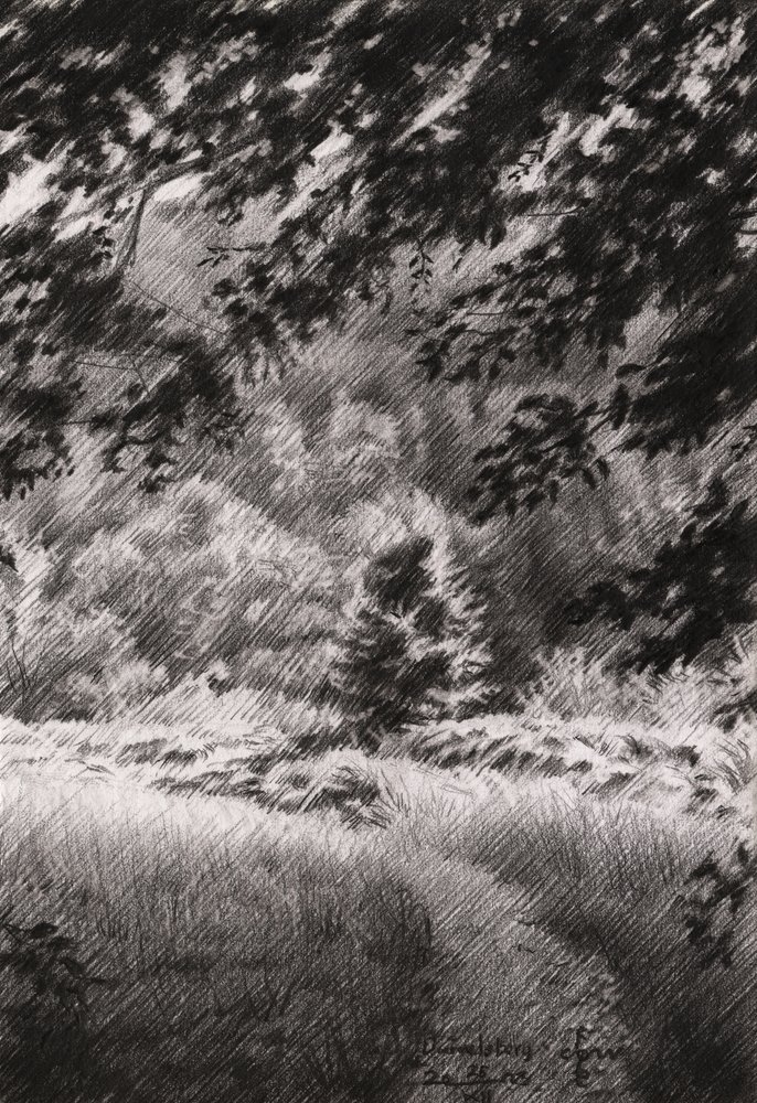 Friedlicher Waldweg von Corné Akkers