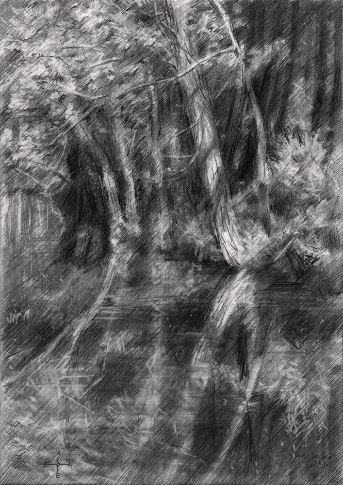 Beschatteter Waldbach von Corné Akkers