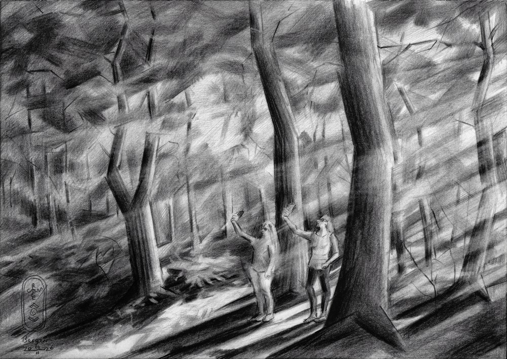 Sonnendurchflutete Waldfiguren von Corné Akkers