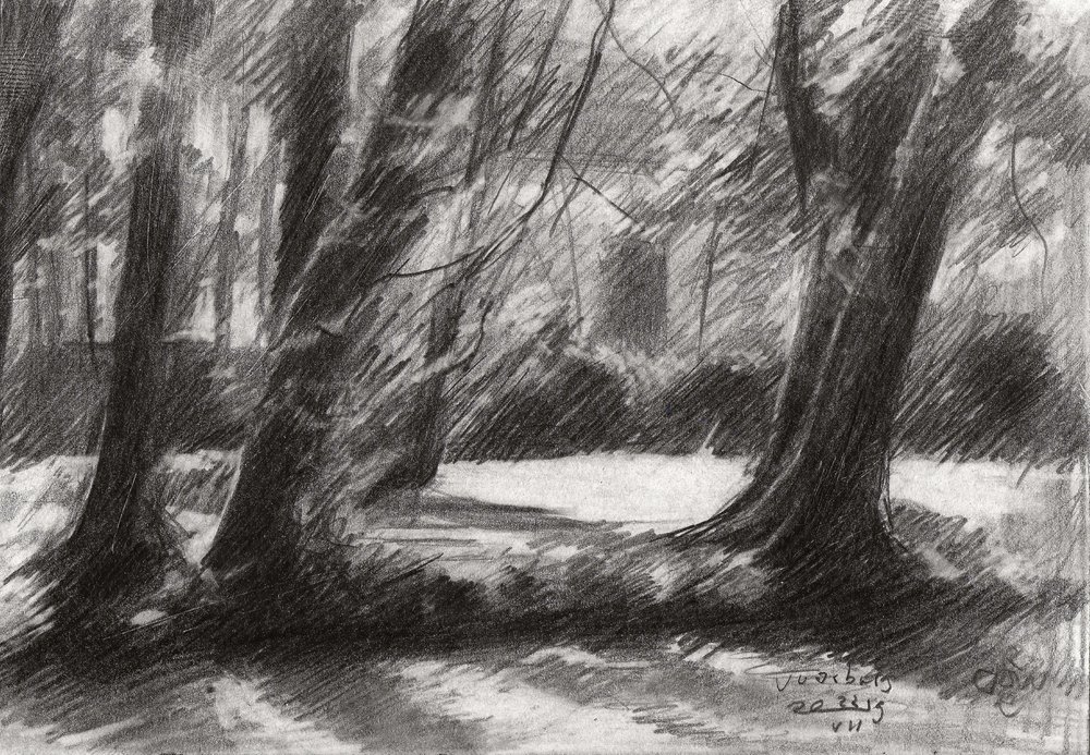 Ruhiger Waldweg von Corné Akkers