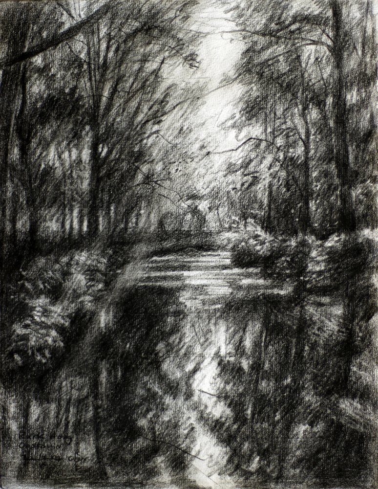 Verschlungener Waldweg von Corné Akkers
