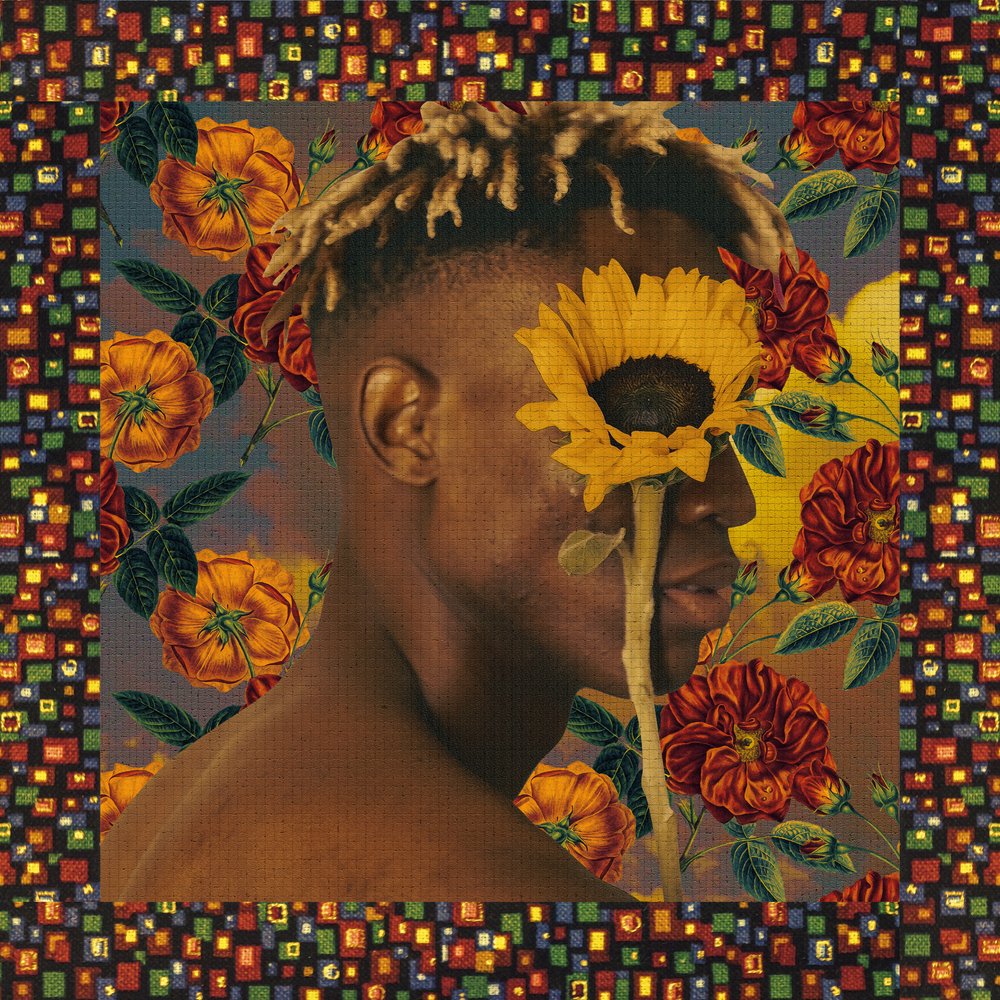 Lebendiges Sonnenblumenporträt von CosmoZach