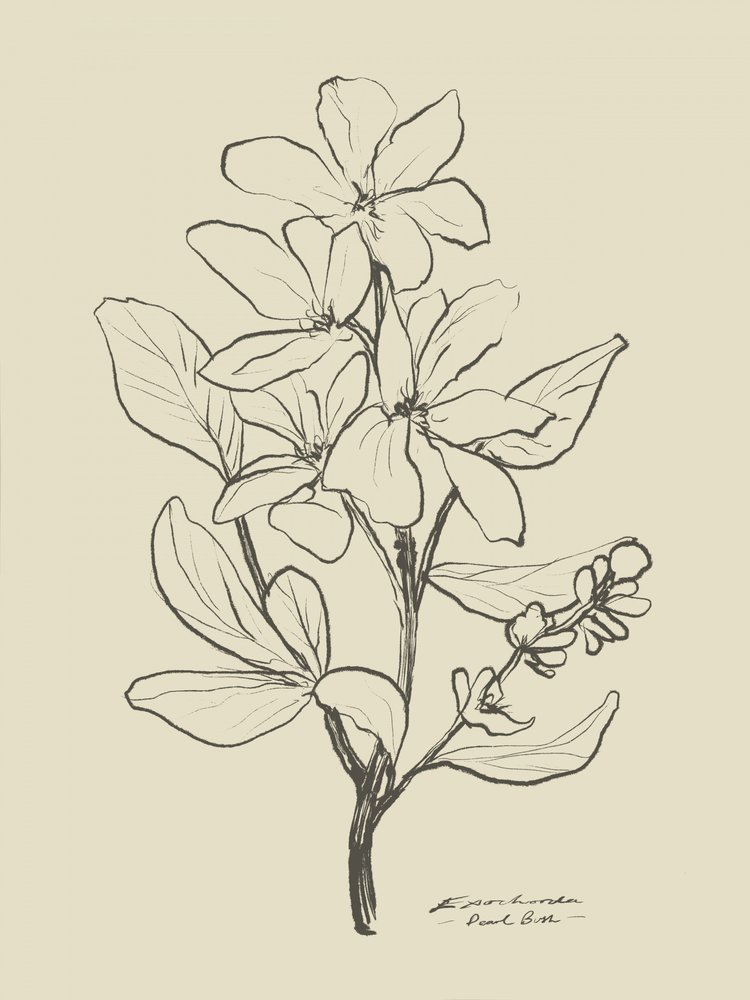 Floral 1 von Dan Hobday