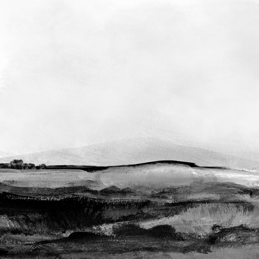 Mono-Landschaft Nr. 1 von Dan Hobday