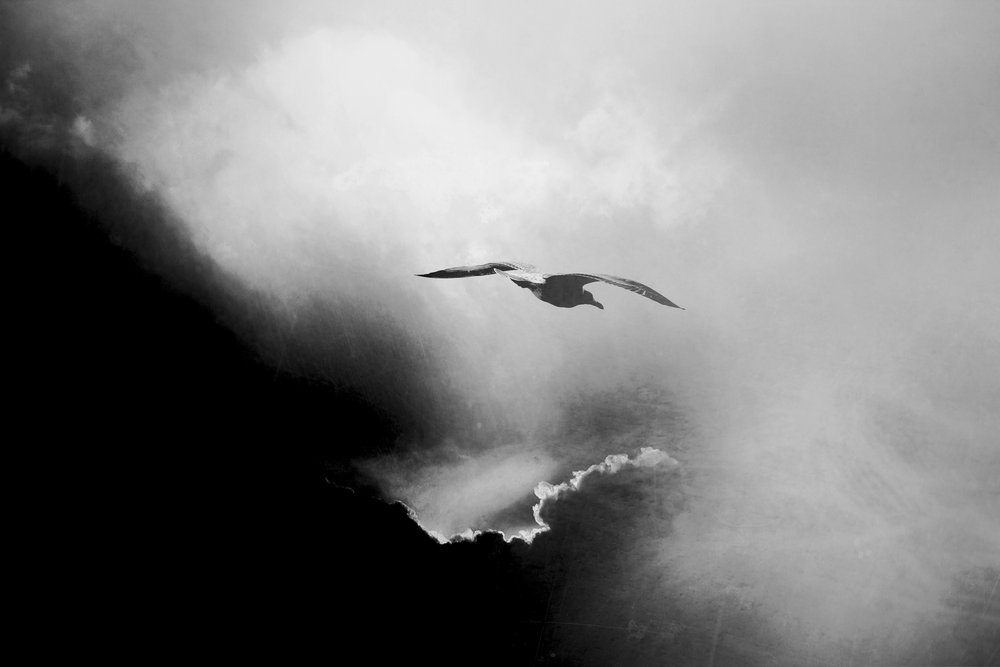 Dramatischer Himmel Flug von Daniela Riegler