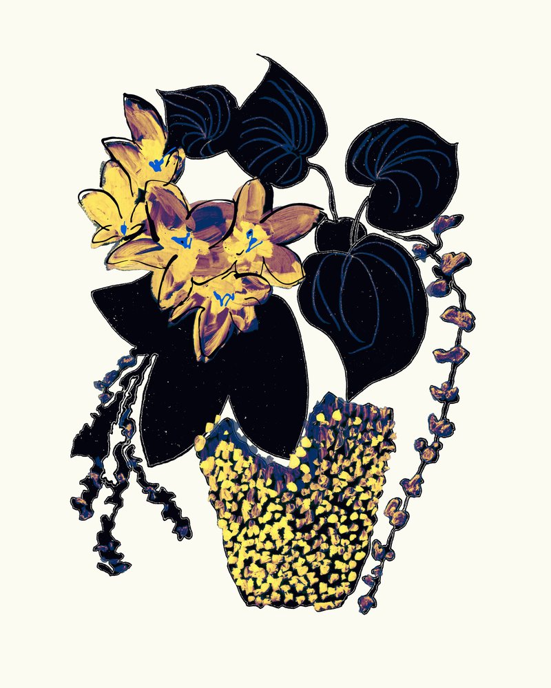 Schicke Topfbotanicals von Danushka Abeygoda