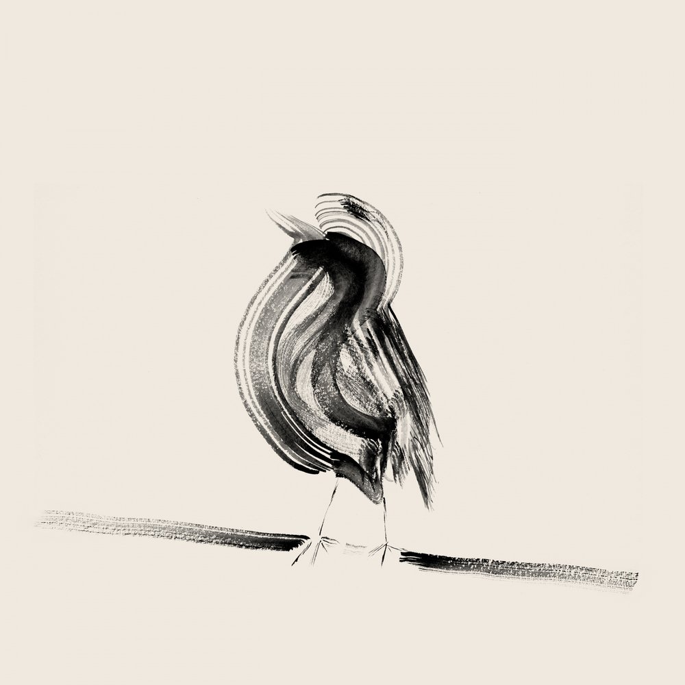 Eleganter Tinten-Vogel von Danushka Abeygoda