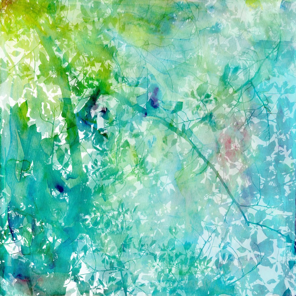 Grün-blaues Waldlicht von Danushka Abeygoda