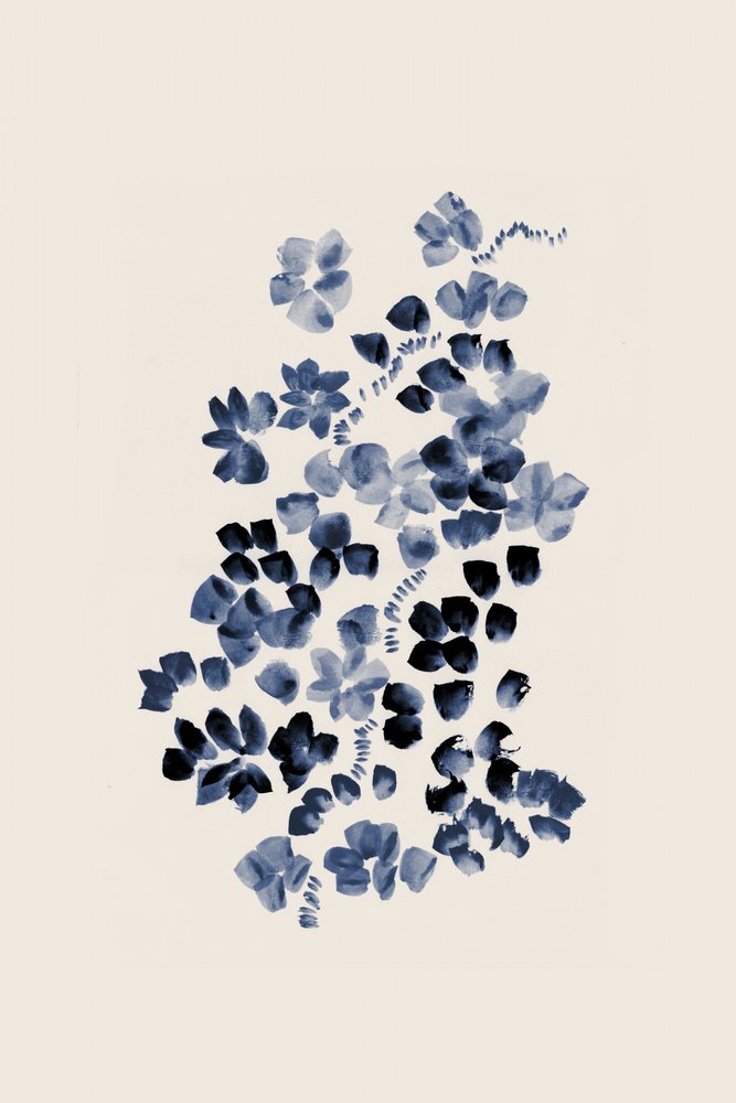 Indigo Blumenblüte von Danushka Abeygoda