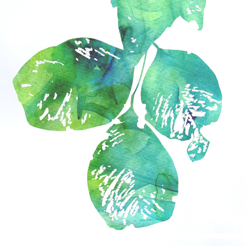Lebendige Aquarellblätter von Danushka Abeygoda