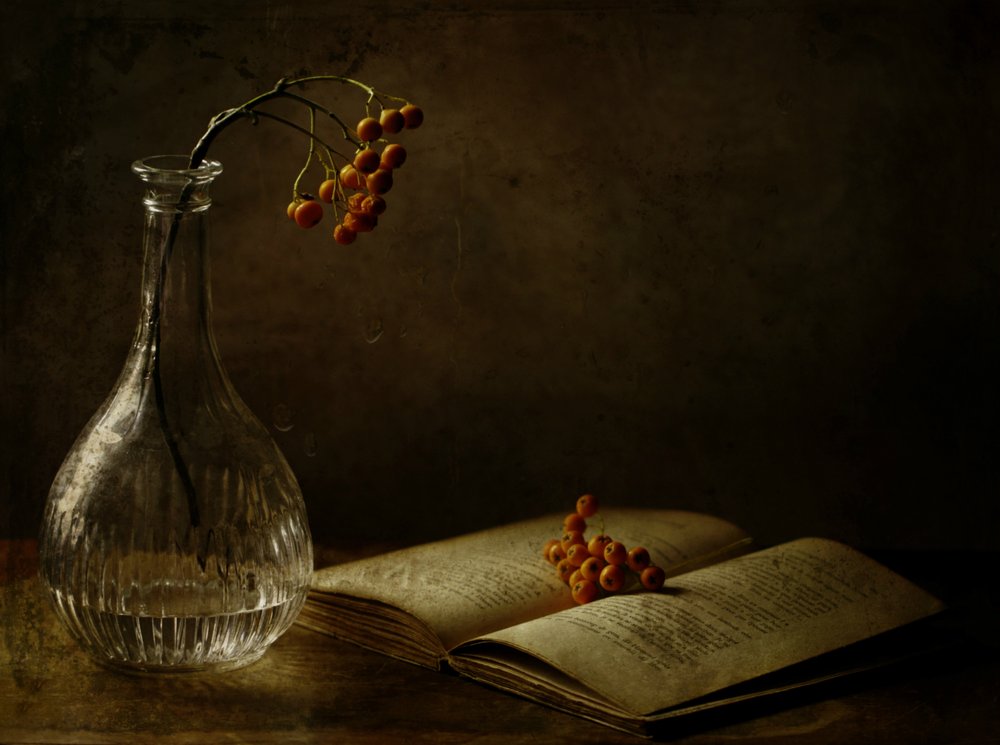 Herbstbeeren und Buch von Delphine Devos