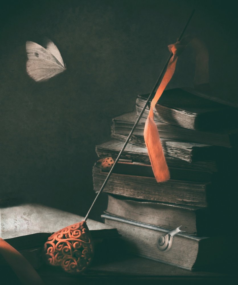 Dunkle Akademie Schmetterling von Delphine Devos