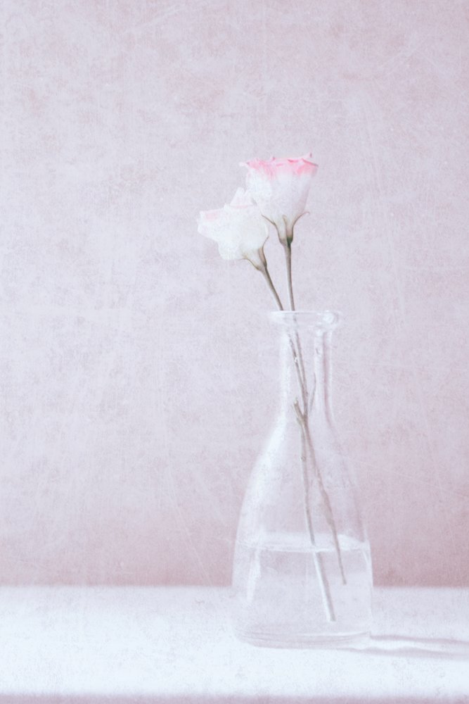 Blumen in Liebe von Delphine Devos