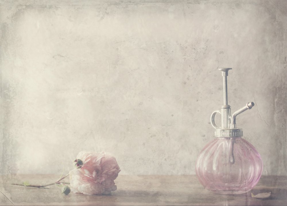 Vintage Rosa Rosenparfüm von Delphine Devos