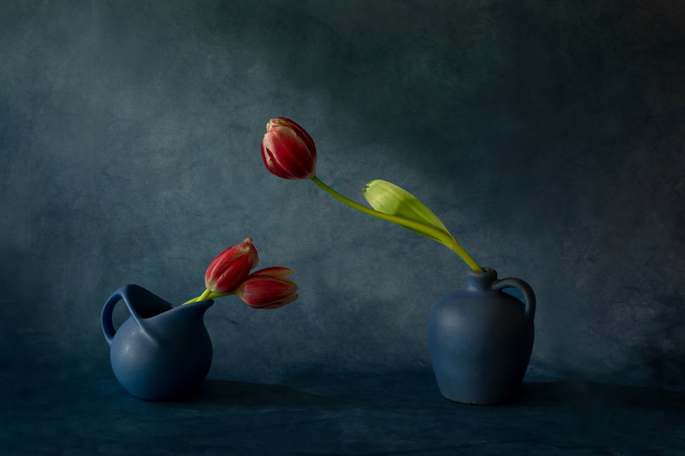 Elegantes Tulpen Stillleben von Dennis Zhang