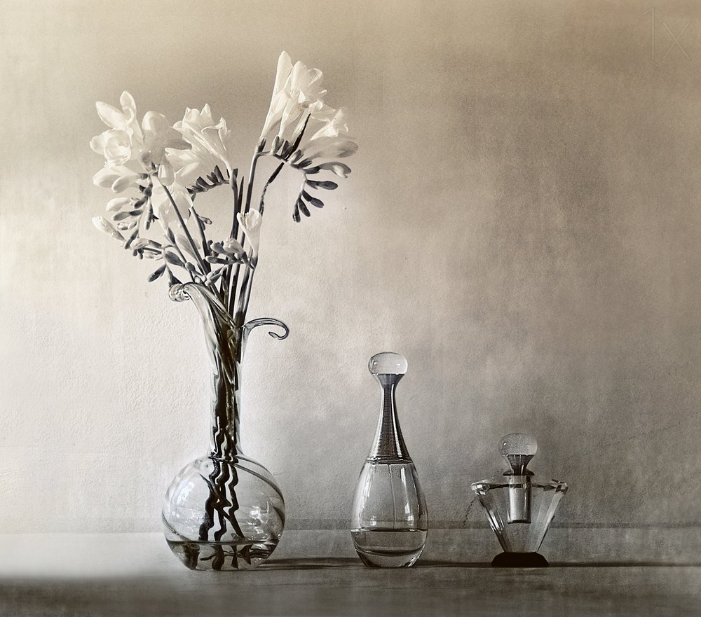 Elegante Blumen und Parfüm von Elena Arjona